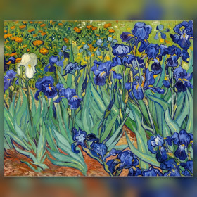 Malen nach Zahlen mit einem Beet aus blauen und weißen Iris von Van Gogh