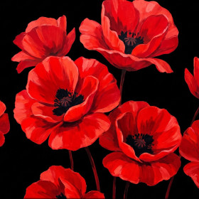Malen nach Zahlen: Blühende rote Mohnblumen auf komplett schwarzem Hintergrund