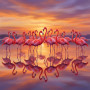 Malen nach Zahlen zwei Flamingos in einem See bei Sonnenaufgang