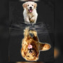 Malen nach Zahlen Golden-Retriever-Welpe und sein erwachsenes Spiegelbild auf schwarzem Hintergrund