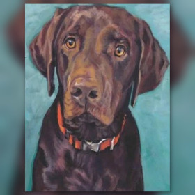 Malen nach Zahlen brauner Labrador mit orangefarbenem Halsband auf türkisfarbenem Hintergrund