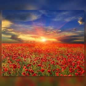 Malen nach Zahlen Feld mit roten Mohnblumen unter orangefarbenem Himmel bei Sonnenuntergang