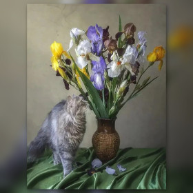 Malen nach Zahlen: Grau getigerte Katze neben einer Vase mit Iris