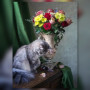 Malen nach Zahlen: Graue Katze neben einer Vase mit Rosen