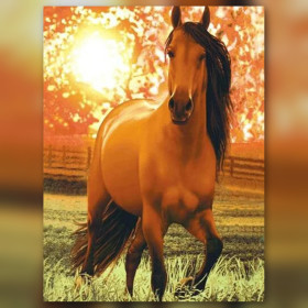 Malen nach Zahlen braunes Pferd auf einer Wiese bei Sonnenuntergang