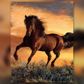 Malen nach Zahlen braunes Pferd im Galopp in einer Ebene bei Sonnenuntergang