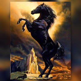 Malen nach Zahlen sich aufbäumendes schwarzes Pferd auf einem Felsen bei Sonnenuntergang