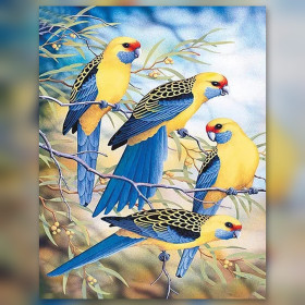 Malen nach Zahlen vier gelbe und blaue Sittiche auf belaubten Ästen