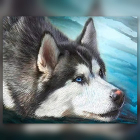 Malen nach Zahlen: liegender Sibirischer Husky mit blauen Augen auf türkisfarbenem Hintergrund