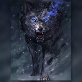 Malen nach Zahlen: schwarzer Wolf mit blauen Augen im Schnee
