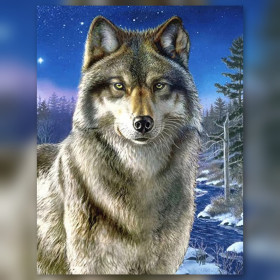 Malen nach Zahlen: grauer Wolf unter einem Sternenhimmel im Winter