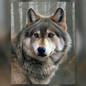 Malen nach Zahlen Porträt eines grauen Wolfs mit bernsteinfarbenen Augen vor einem nebligen Wald