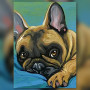 Malen nach Zahlen rehbraune Französische Bulldogge liegt auf einem blauen Kissen
