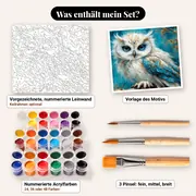 Malen nach Zahlen weiße Eule mit blauen Augen auf einem Ast – Set-Inhalt: vorgezeichnete Leinwand, Farben, Pinsel
