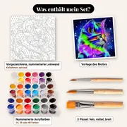 Malen nach Zahlen buntes Kätzchen im Weltall – Set-Inhalt: vorgezeichnete Leinwand, Farben, Pinsel