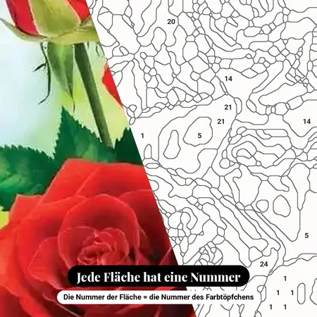 Malen nach Zahlen drei rote Rosen und eine Knospe – nummerierte Leinwand zum Malen