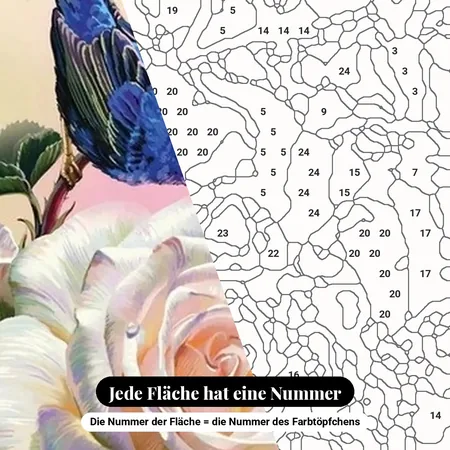 Malen nach Zahlen weiße Rose und blaue Vögel – nummerierte Leinwand zum Malen