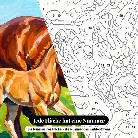 Malen nach Zahlen Stute und Fohlen auf einer Blumenwiese – nummerierte Leinwand zum Malen