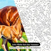 Malen nach Zahlen Stute und Fohlen auf einer Blumenwiese – Nahaufnahme der nummerierten Leinwand