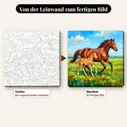 Malen nach Zahlen Stute und Fohlen auf einer Blumenwiese – vorher und nachher: vorgezeichnete Leinwand und fertiges Gemälde