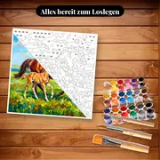 Malen nach Zahlen Stute und Fohlen auf einer Blumenwiese – Set bereit zum Loslegen auf dem Tisch