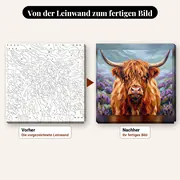 Malen nach Zahlen Highland-Kuh im Heidekraut – vorher und nachher: vorgezeichnete Leinwand und fertiges Gemälde