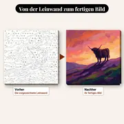 Malen nach Zahlen Highland-Kuh im Sonnenuntergang – vorher und nachher: vorgezeichnete Leinwand und fertiges Gemälde