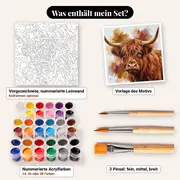 Malen nach Zahlen Highland-Kuh Aquarell – Set-Inhalt: vorgezeichnete Leinwand, Farben, Pinsel