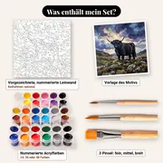 Malen nach Zahlen schwarze Highland-Kuh auf dem Hügel – Set-Inhalt: vorgezeichnete Leinwand, Farben, Pinsel