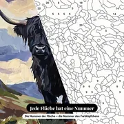 Malen nach Zahlen schwarze Highland-Kuh auf dem Hügel – Nahaufnahme der nummerierten Leinwand