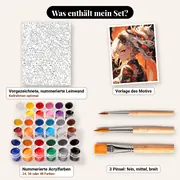 Malen nach Zahlen Frau und asiatischer Manga-Drache – Set-Inhalt: vorgezeichnete Leinwand, Farben, Pinsel