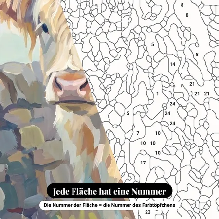 Malen nach Zahlen cremefarbene Highland-Kuh an einer Mauer – nummerierte Leinwand zum Malen
