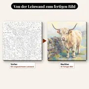 Malen nach Zahlen cremefarbene Highland-Kuh an einer Mauer – vorher und nachher: vorgezeichnete Leinwand und fertiges Gemälde