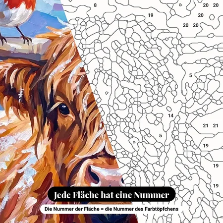 Malen nach Zahlen Highland-Kuh und Rotkehlchen – nummerierte Leinwand zum Malen