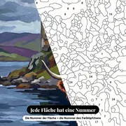 Malen nach Zahlen Highland-Kuh vor einem Schloss – Nahaufnahme der nummerierten Leinwand