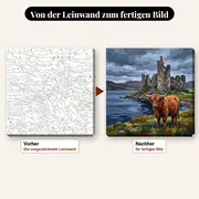 Malen nach Zahlen Highland-Kuh vor einem Schloss – vorher und nachher: vorgezeichnete Leinwand und fertiges Gemälde
