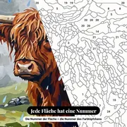 Malen nach Zahlen Highland-Kuh im Regen – Nahaufnahme der nummerierten Leinwand