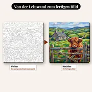 Malen nach Zahlen Highland-Kuh hinter einem Zaun – vorher und nachher: vorgezeichnete Leinwand und fertiges Gemälde