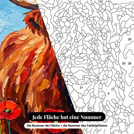 Malen nach Zahlen Highland-Kuh im Mohnfeld – nummerierte Leinwand zum Malen