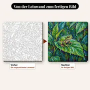 Malen nach Zahlen grüner Frosch auf einem Blatt im Regen – vorher und nachher: vorgezeichnete Leinwand und fertiges Gemälde