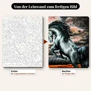 Malen nach Zahlen Schwarzes Pferd steigt auf einem Feld – vorher und nachher: vorgezeichnete Leinwand und fertiges Gemälde
