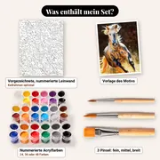 Malen nach Zahlen Pferd im Galopp im Staub – Set-Inhalt: vorgezeichnete Leinwand, Farben, Pinsel