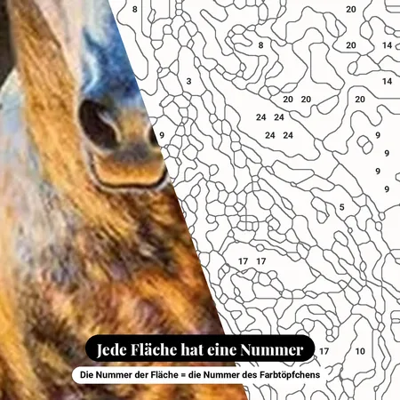 Malen nach Zahlen Pferd im Galopp im Staub – nummerierte Leinwand zum Malen
