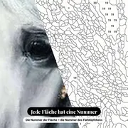 Malen nach Zahlen Kopf eines weißen Pferdes mit schwarzem Halfter – Nahaufnahme der nummerierten Leinwand