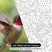 Malen nach Zahlen Kolibri im Flug und rote Blume – Nahaufnahme der nummerierten Leinwand