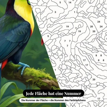 Malen nach Zahlen zwei Tukane auf einem tropischen Ast – nummerierte Leinwand zum Malen