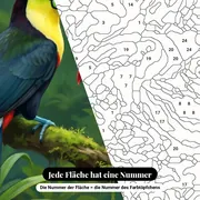 Malen nach Zahlen zwei Tukane auf einem tropischen Ast – Nahaufnahme der nummerierten Leinwand