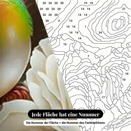 Malen nach Zahlen zwei Vögel auf einer weißen Blume – nummerierte Leinwand zum Malen