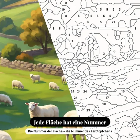 Malen nach Zahlen Schafe auf Hügeln mit Bauernhof – nummerierte Leinwand zum Malen