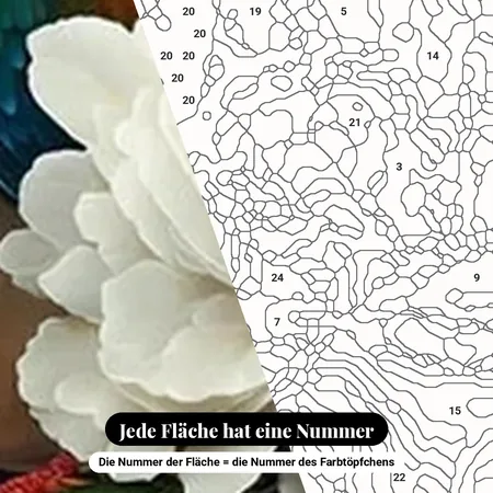 Malen nach Zahlen zwei Vögel und weiße Blume im Regen – nummerierte Leinwand zum Malen